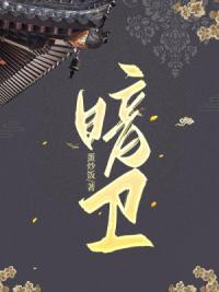 暗卫